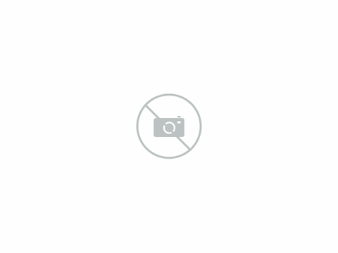Nissan Qashqai 1.6 Acenta / Panoramadak / PDC / Trekhaak