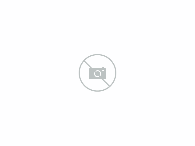 Nissan Qashqai 1.6 Acenta / Panoramadak / PDC / Trekhaak