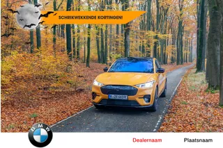 Audi A4 Avant 3.0 TDI S4 quattro Pro Line Plus