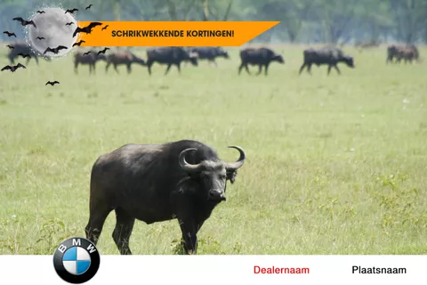 Dacia Duster 1.2 TCe 4x2 Prestige
