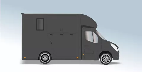 Renault Master T35 2.3 dCi L2 Paardenvrachtwagen B Rijbewijs, EX BTW