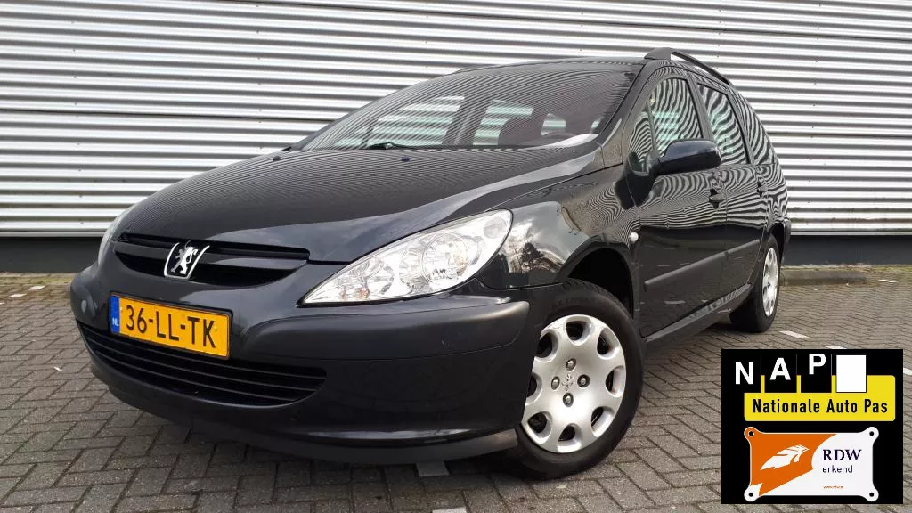 PEUGEOT 307 Break 2.0 HDI Riem vervangen APK 01-2019