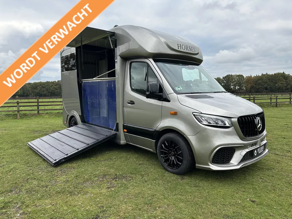 Mercedes-Benz Sprinter 319 AMG 2-paards paardenvrachtwagen B-rijbewijs 3500KG trekhaak!