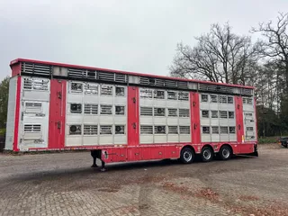 Pezzaioli Livestock 1/2/3 stock Type2 independent levels!