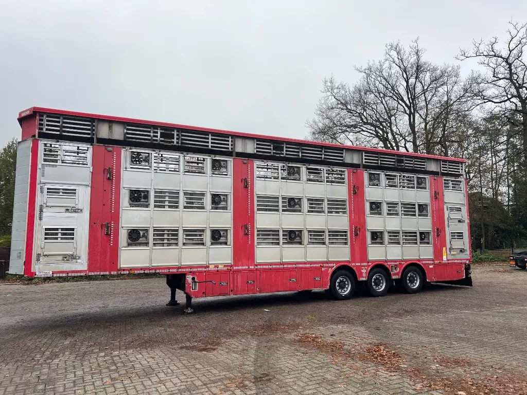 Pezzaioli Livestock 1/2/3 stock Type2 independent levels!