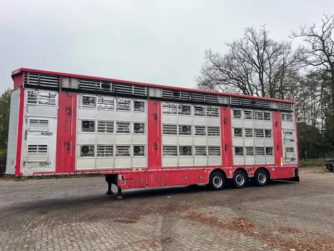 Pezzaioli Livestock 1/2/3 stock Type2 independent levels!