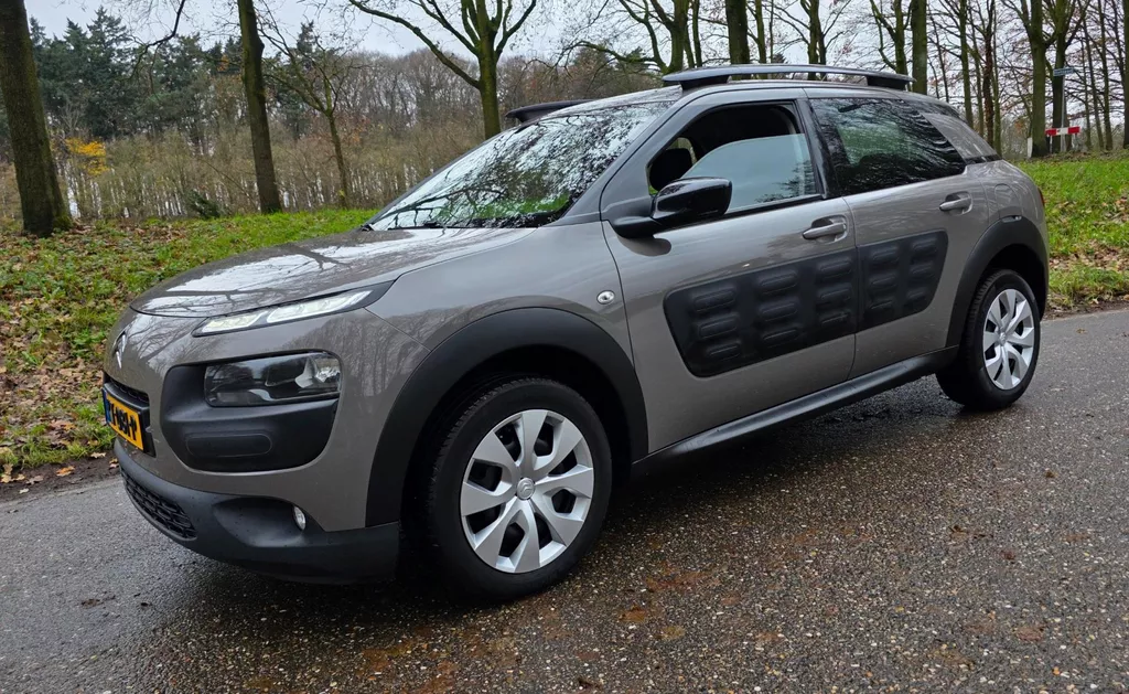 Citroen C4 Cactus 1.2 PureTech NL Auto ! 1e Eigenaar !