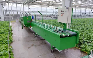 Bloemverwerkingslijn 31.143