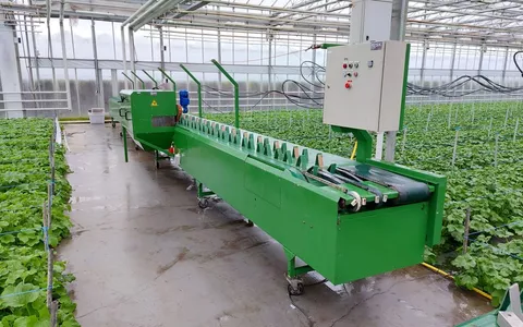 Bloemverwerkingslijn 31.143