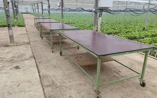 Bostafel 250x125cm 4 stuks