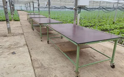 Bostafel 250x125cm 4 stuks