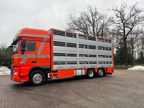 DAF XF 105 Berdex 1/2/3/4 livestock veewagen type2