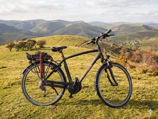 Gazelle Vento T9 Framemaat 53 cm 400 WH accu