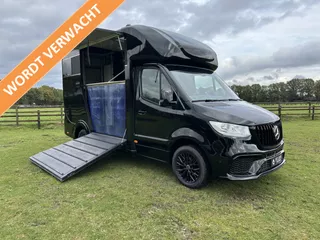 Mercedes-Benz Sprinter 317 AMG 2-paards paardenvrachtwagen B-rijbewijs