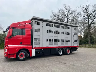 MAN TGX 26.440 6x2/4 Menke Livestock Veewagen Gross Vieh