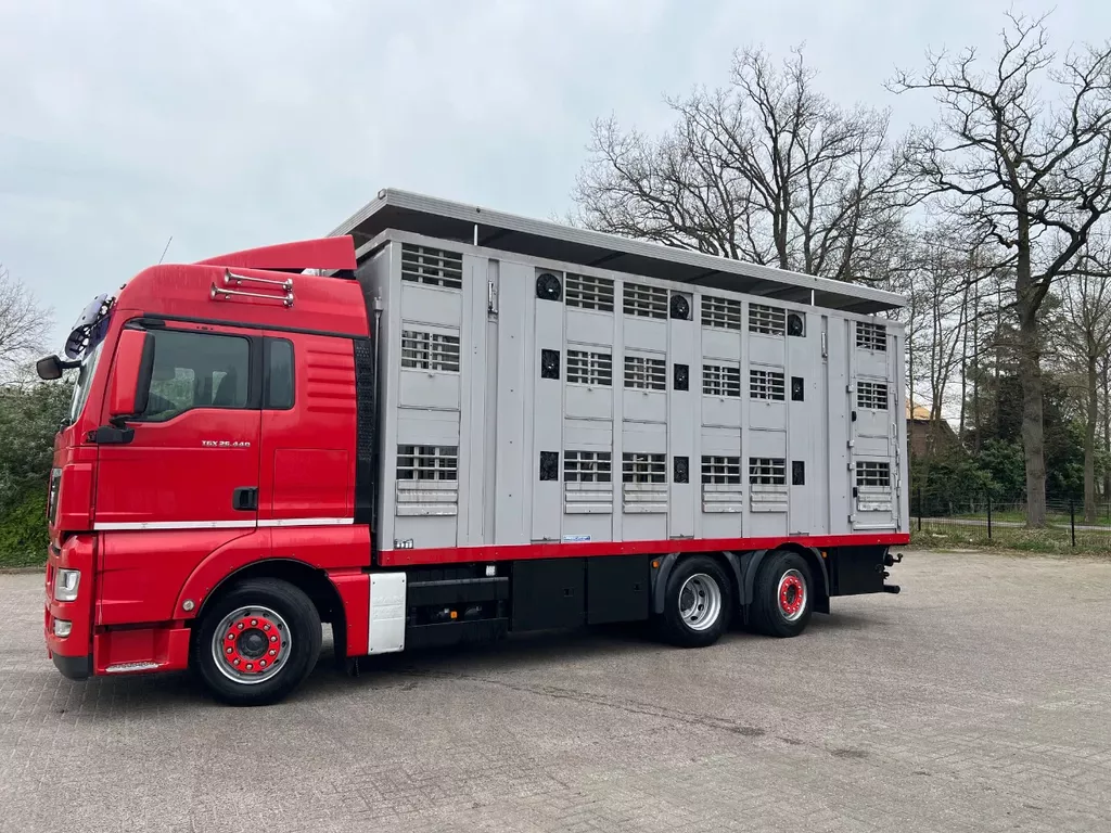 MAN TGX 26.440 6x2/4 Menke Livestock Veewagen Gross Vieh