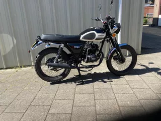 mash 50 scrambler