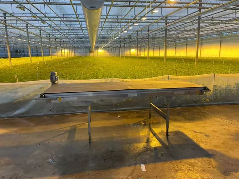 Verzamelband Grijs 300x100cm 59.057