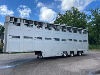 Berdex Livestock Type 2