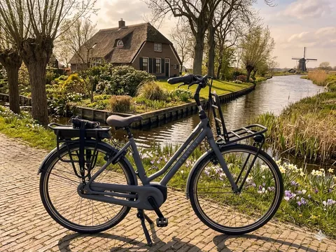Gazelle Heavy Duty Framemaat 49 cm