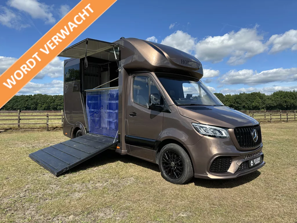 Mercedes-Benz Sprinter 317 AMG 2-paards paardenvrachtwagen B-rijbewijs