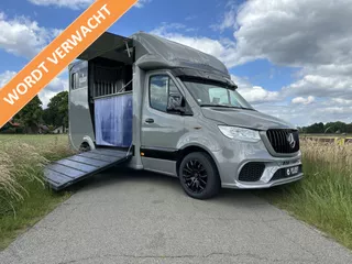 Mercedes-Benz Sprinter 317 AMG 2-paards paardenvrachtwagen B-rijbewijs