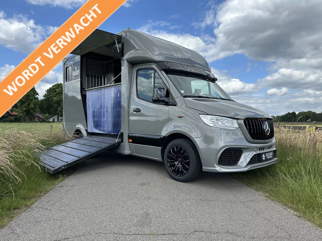 Mercedes-Benz Sprinter 317 AMG 2-paards paardenvrachtwagen B-rijbewijs