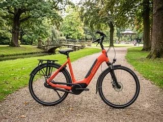 Sparta C-Grid Energy Framemaat 56 cm nieuwe 400 WH accu