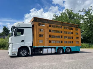 Mercedes-Benz Actros 2851 Finkl Livestock 1/2/3/4