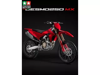 Ducati Desmo 250 MX