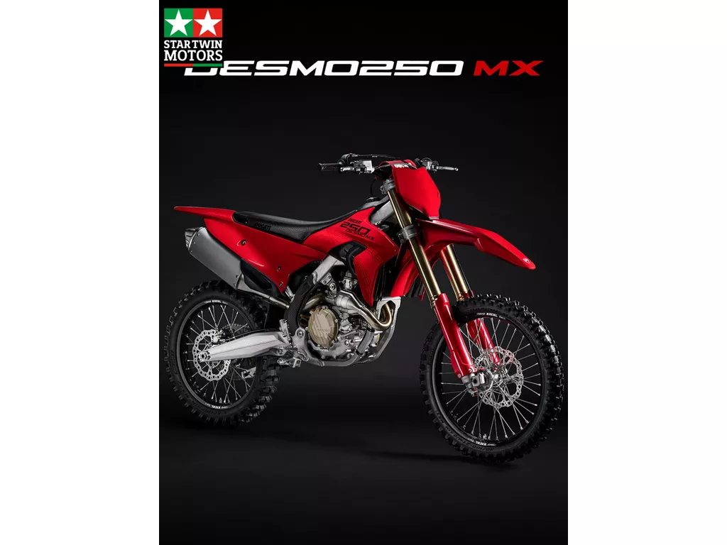 Ducati Desmo 250 MX