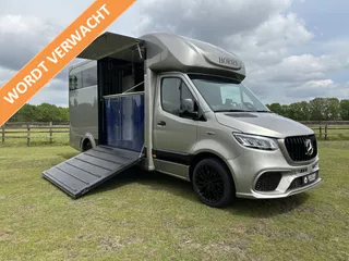 Mercedes-Benz Sprinter 317 AMG XXL 2-paards paardenvrachtwagen B-rijbewijs