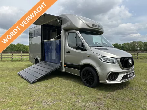 Mercedes-Benz Sprinter 317 AMG XXL 2-paards paardenvrachtwagen B-rijbewijs