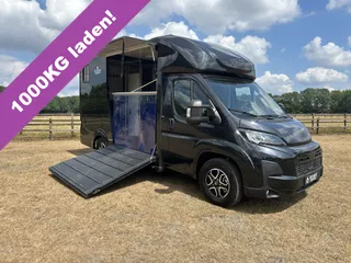 Fiat Ducato 3.65T C1-Rijbewijs 2-paards paardenvrachtwagen Automaat