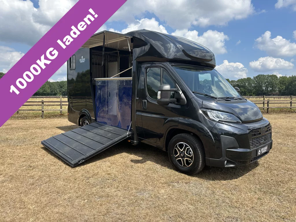 Fiat Ducato 3.65T C1-Rijbewijs 2-paards paardenvrachtwagen Automaat