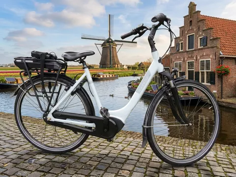 Gazelle Paris Framemaat 53 cm 400 Wh accu