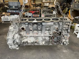 DAF 2165153 / 2301462 / 2441379 CILINDERBLOK MX-11 MEB
