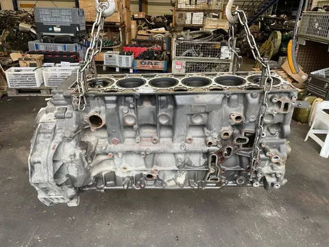 DAF 2165153 / 2301462 / 2441379 CILINDERBLOK MX-11 MEB