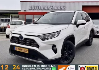 Toyota RAV4 2.5 Hybrid Business