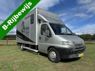 Peugeot Boxer 3-paards paardenvrachtwagen XXL B-rijbewijs
