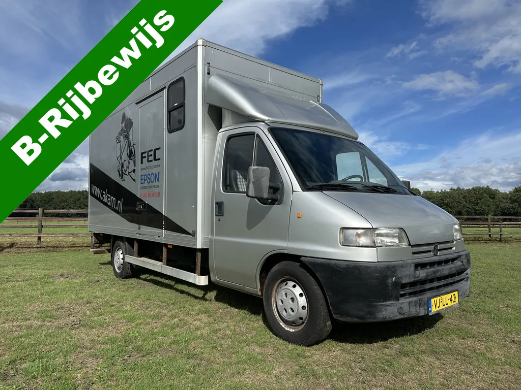 Peugeot Boxer 3-paards paardenvrachtwagen XXL B-rijbewijs
