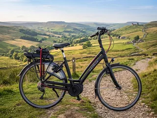 Gazelle Chamonix T10 HMB Framemaat 49 cm 500 WH accu