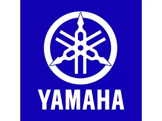 Yamaha YZ 250 2-takt 2024 YSS Suspension no YZ 125