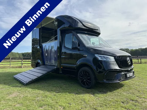Mercedes-Benz Sprinter 317 AMG 2-paards paardenvrachtwagen B-rijbewijs