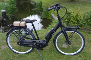 Gazelle Bloom C 310 HMS Framemaat 53 cm 504 WH acu