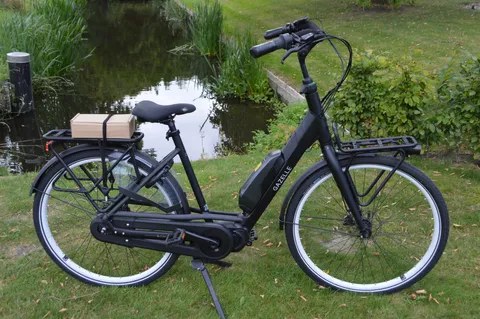 Gazelle Bloom C 310 HMS Framemaat 53 cm 504 WH acu