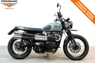 Triumph Scrambler 900 Street