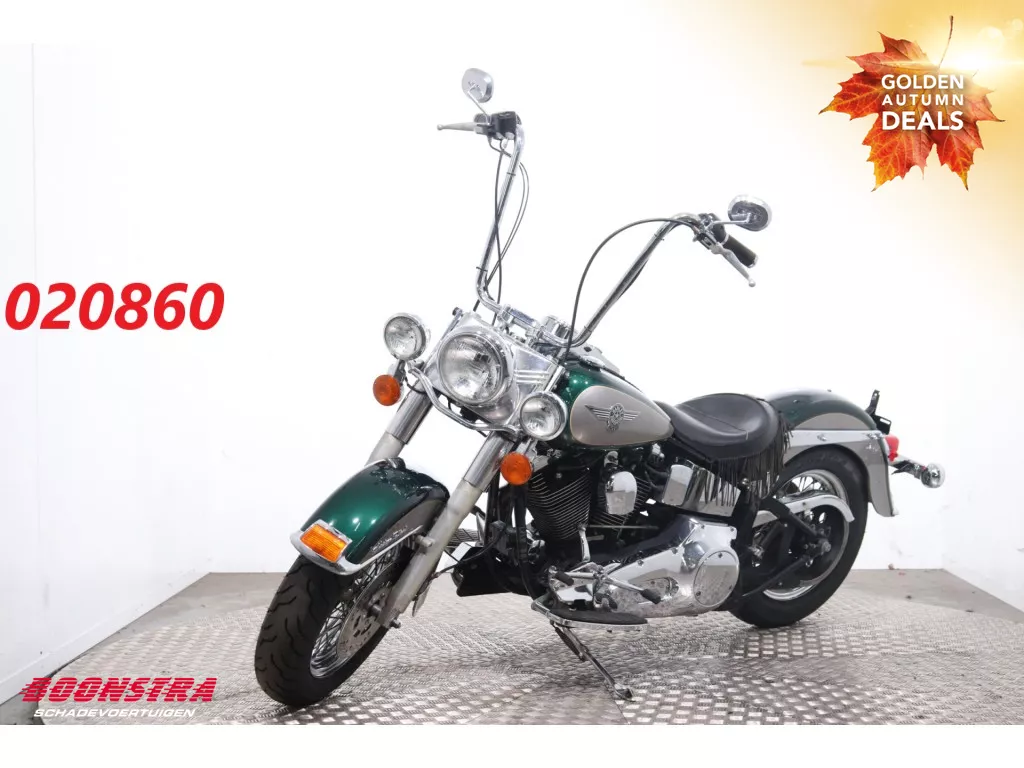 Harley-Davidson Heritage FLSTN Softail