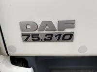 DAF 75CF 310 6X2 EURO 5 EEV Foto