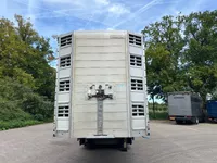 Pezzaioli 5 stock Livestock Full options Foto